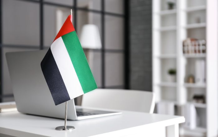 Holding Company In UAE